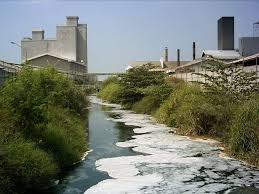 Sungai tercemar limbah pabrik